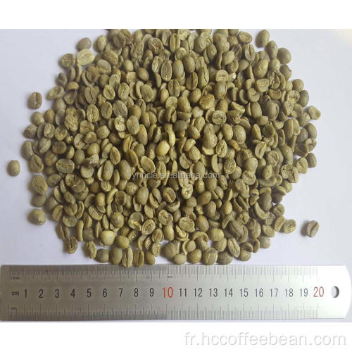 grains de café vert du yunnan grade AA